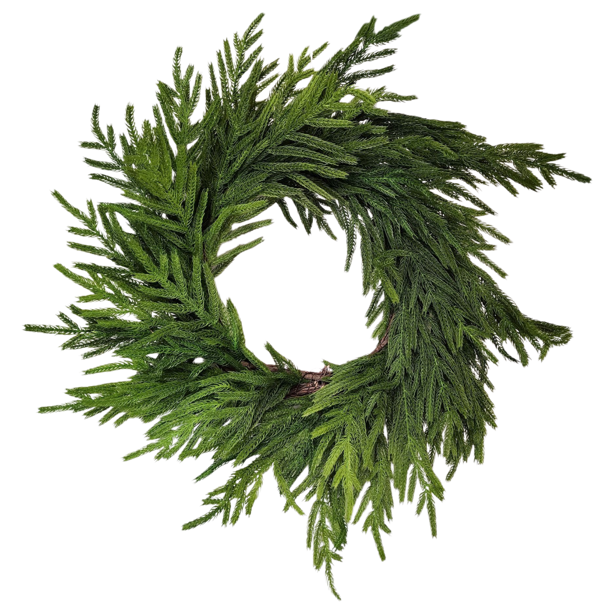 Natural Looking Lush Cedar Wreath - 24 Inches