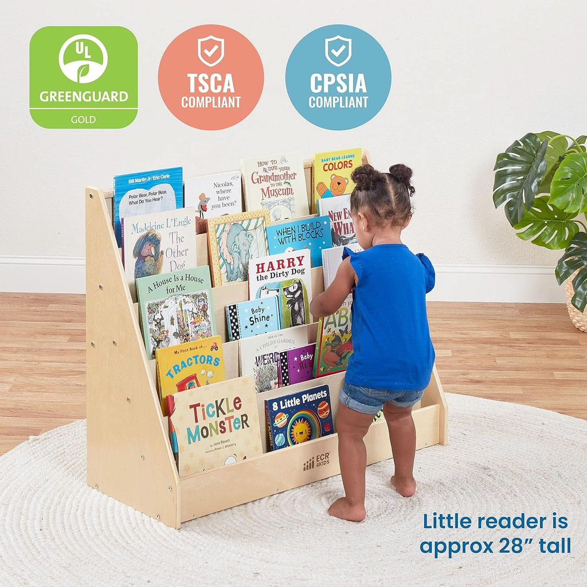Natural Wood Single Sided Book Display Classroom Bookshelf