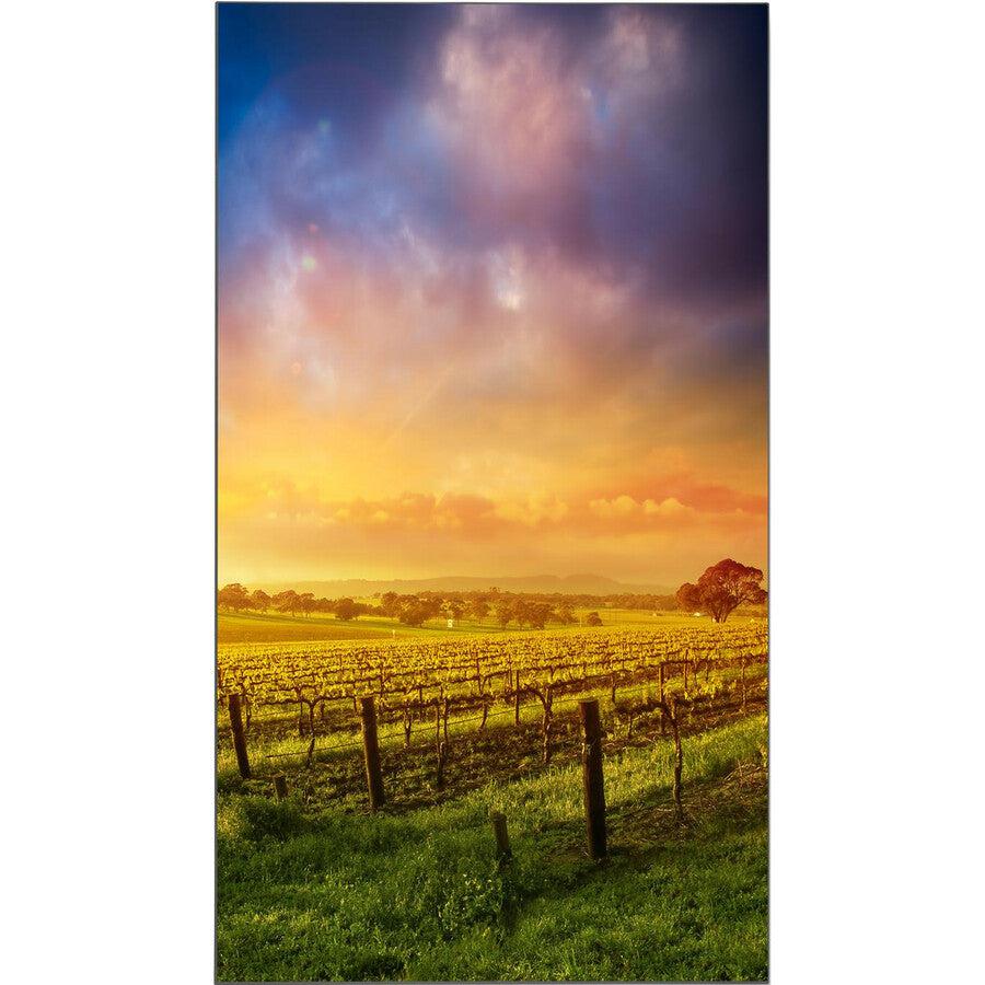 Nec Display 46" Led-Backlit Ultra-Narrow Bezel Professional-Grade Large-Screen Display