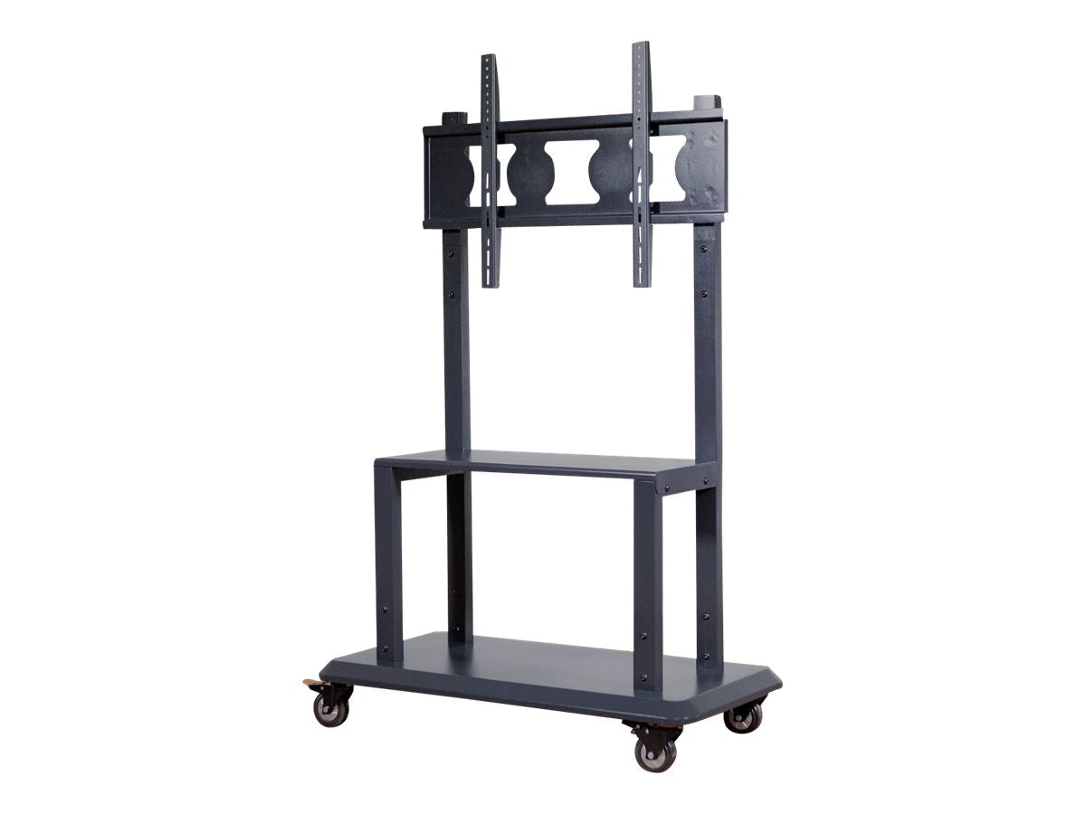 Newline AC Stand EPR8A50500-ACS – Stable, Mobile Display Mount for Professionals