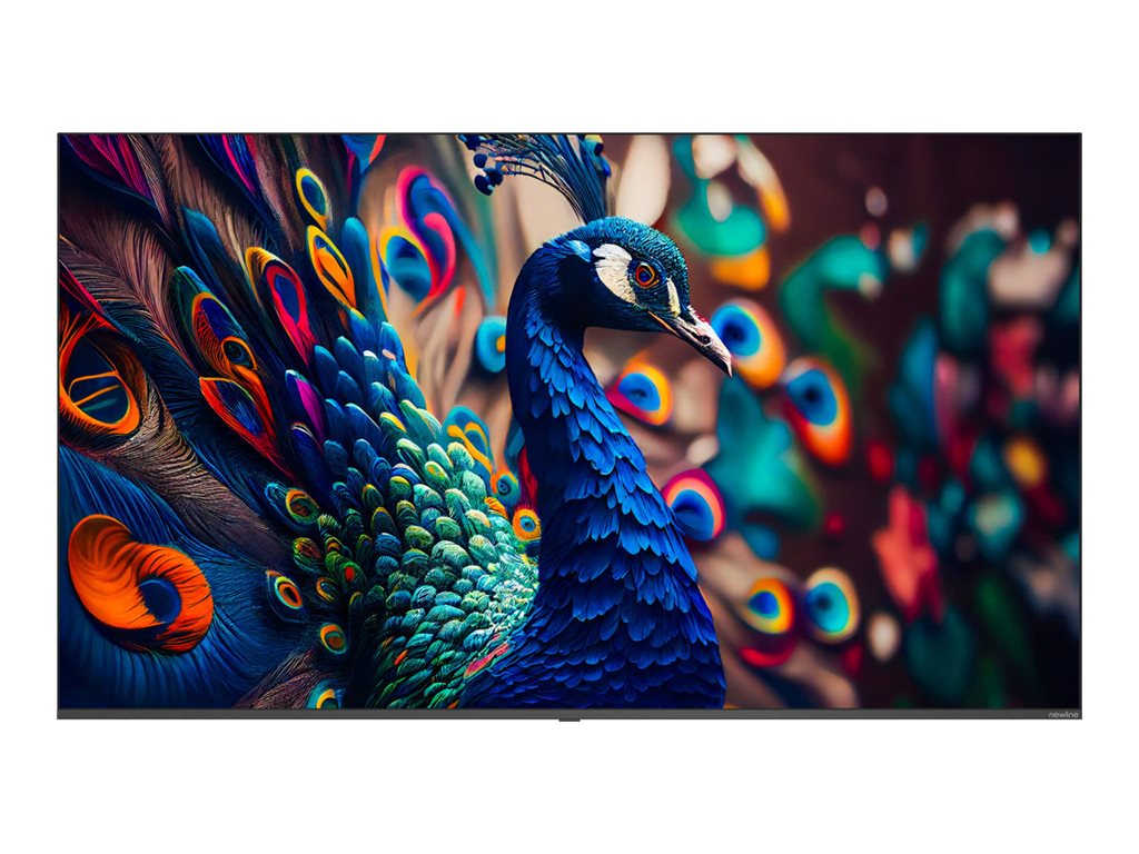 Newline STV-5524-PLUS - 55 Diagonal Class STV+ Series LED-backlit LCD display - interactive digital signage - Android - 4K UHD