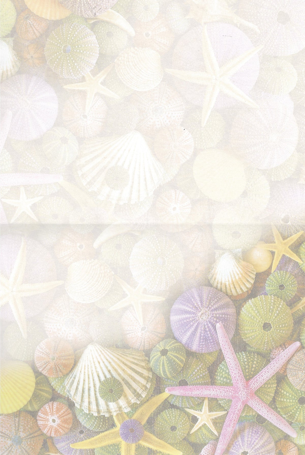 Ocean Treasures Greeting Card - Blank Card
