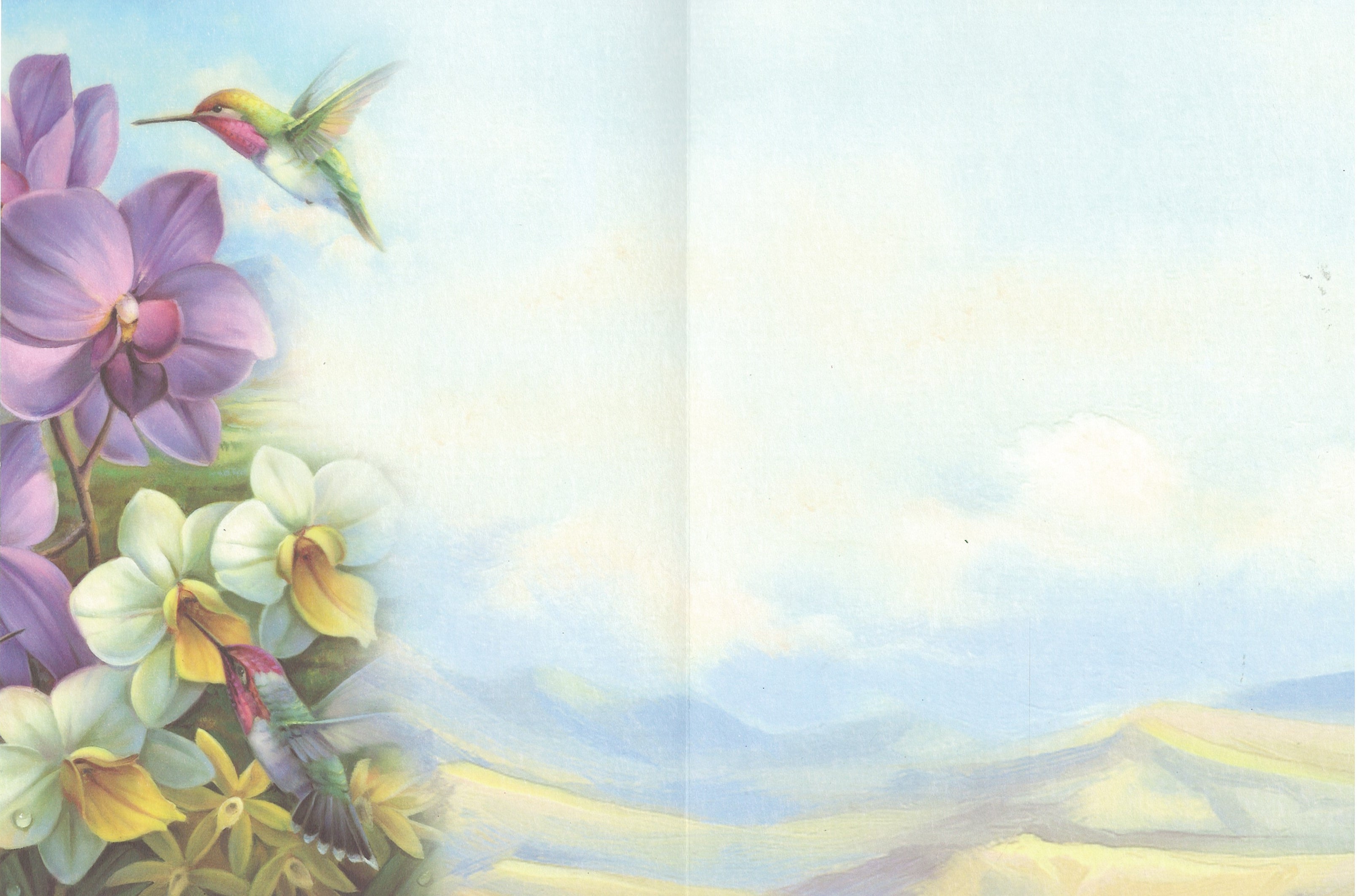 Orchids and Hummingbirds Greeting Card - Blank Card