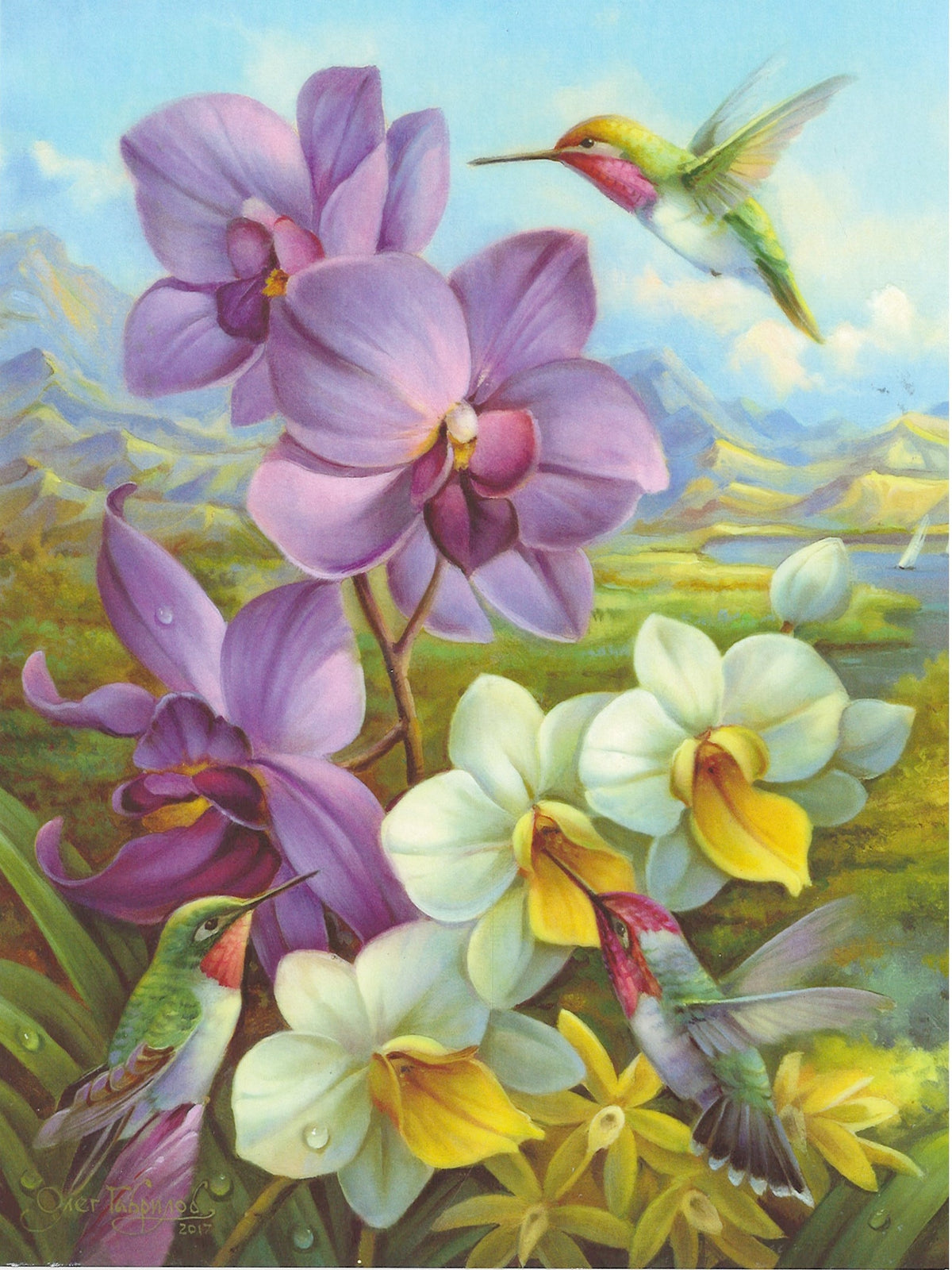 Orchids and Hummingbirds Greeting Card - Blank Card