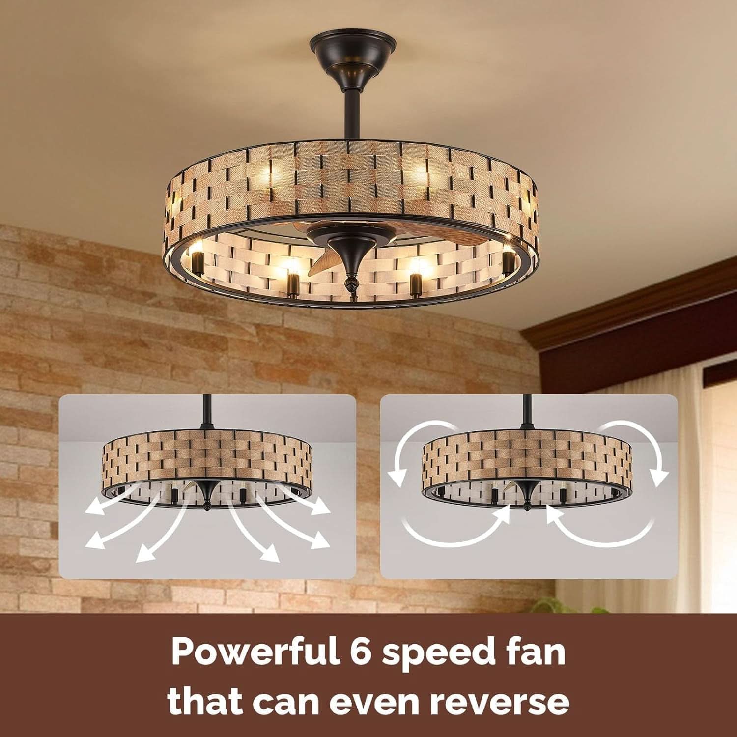 Orison 24 Inch Caged Ceiling Fan With Lights Remote App Control