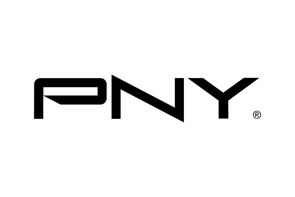 PNY NVIDIA RTX 2000 Ada Generation GPU