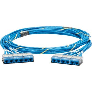 Panduit Category 6, UTP Riser Blue Cable with Blue Cassette to Blue Cassette QCRBCCB0001F060