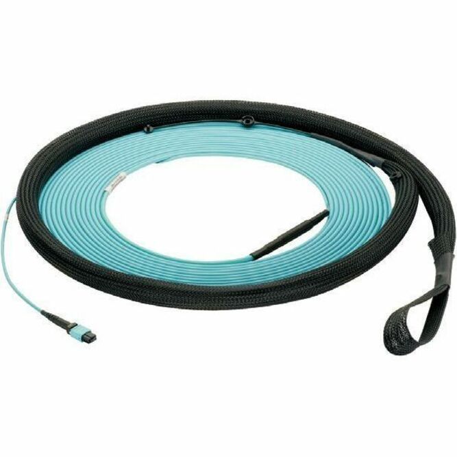 Panduit FY9WP77B005F111 48-Fiber ST Trunk Cable