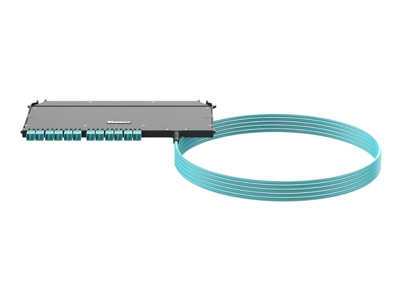 Panduit FlexCore - Pre-terminated fiber optic cassette with pigtail - indoor - 10 ft - LC MM X 24 - black FZUYPXRNNONF010