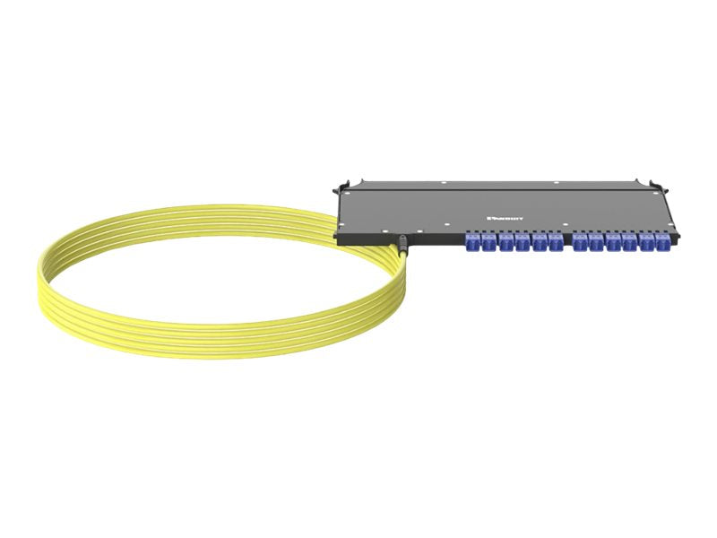 Panduit FlexCore - Pre-terminated fiber optic cassette with pigtail - indoor - 164 ft - LC MM X 24 - black F9UYBXLNNSNM050