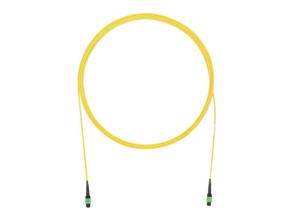 Panduit - Network cable - MPO single-mode (F) to MPO single-mode (F) - 0.914 m - 0.1 in - fiber optic - 9 / 125 micron -