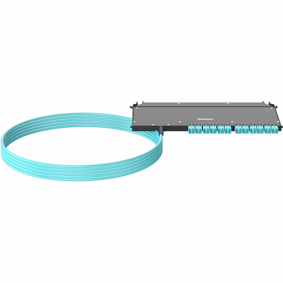 Panduit OM4+ 24-Fiber Plenum Cable Assembly 10ft