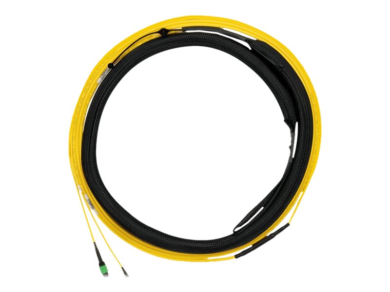 Panduit Opticom QuickNet - Trunk cable - PanMPO single-mode (F) to PanMPO single-mode (F) - 10 m - 0.2 in - fiber optic