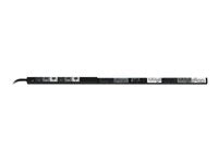 Panduit P24D34M-RD1C SmartZone G5 Vertical PDU - 60A/208V Monitored Input Power Distribution Unit