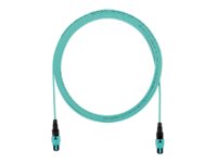 Panduit Pan-Net - Trunk cable - MPO-12/APC single-mode (F) to MPO-12/APC single-mode (F) - 2.44 m - 0.1 in - fiber optic