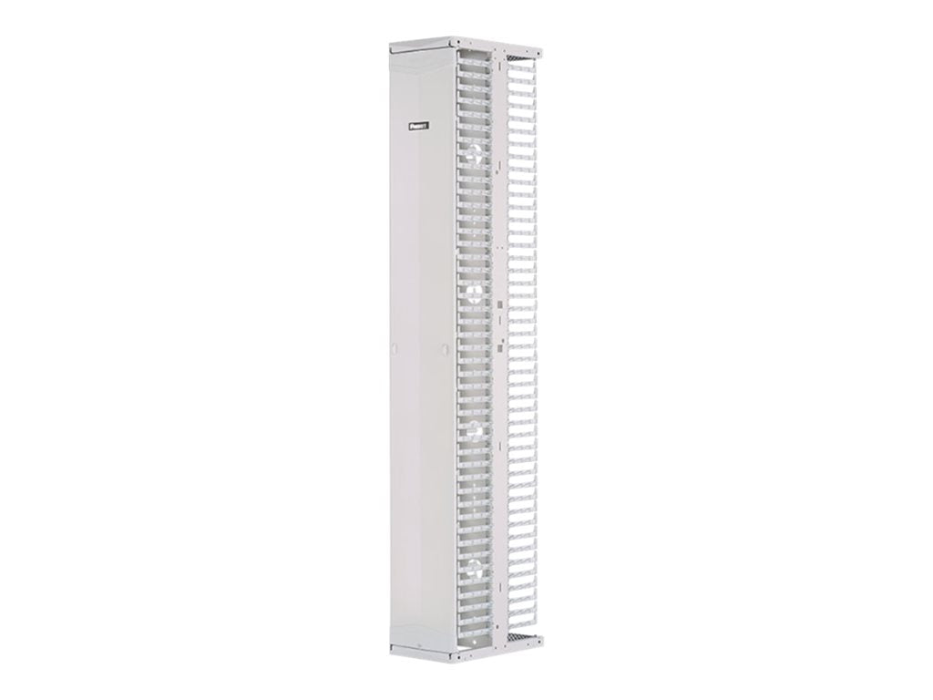 Panduit PatchRunner 2 Dual Sided Manager - Rack cable management panel