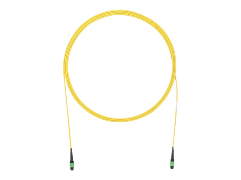 Panduit QuickNet - Network cable - MPO single-mode (F) to MPO single-mode (F) - 10 m - 0.1 in - fiber optic - 9 / 125 micron FR9TL55A001M010