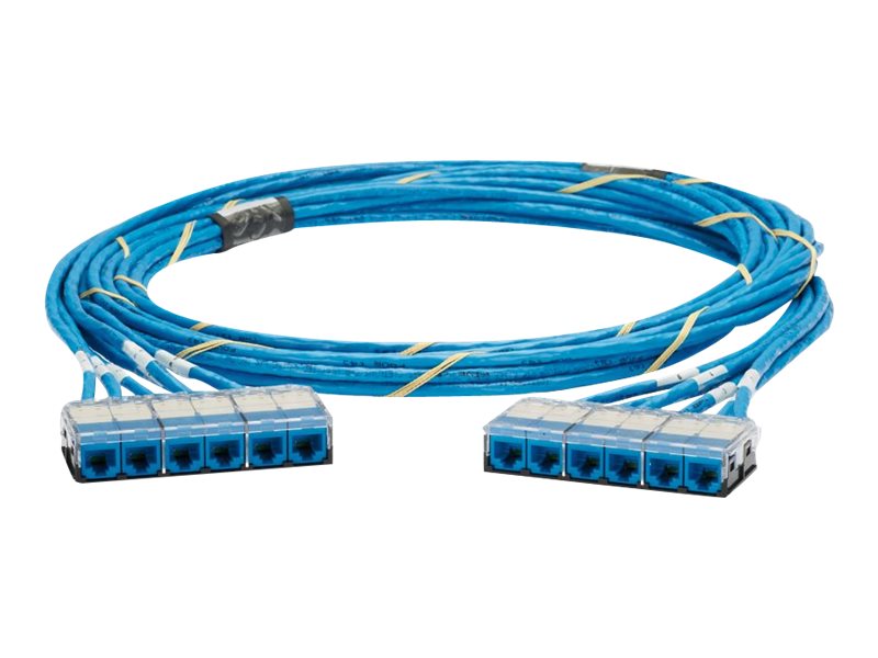 Panduit QuickNet - Network cable - RJ-45 (F) cassette to RJ-45 (F) cassette - 21 ft - UTP - CAT 6a - plenum - blue QZPBCCB0001F021