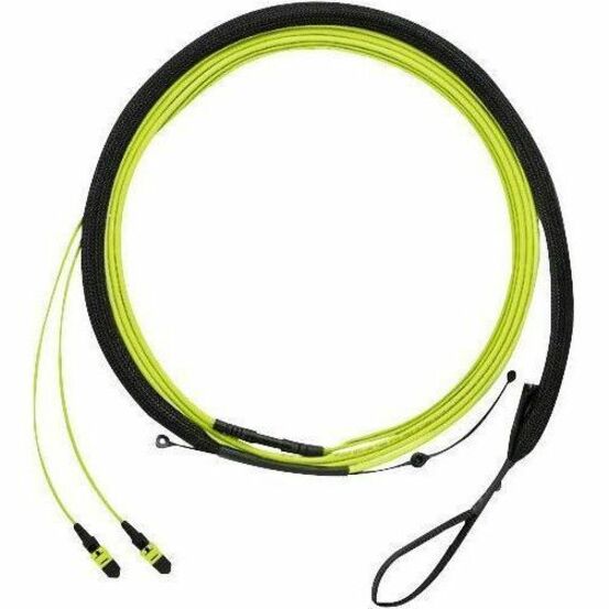Panduit QuickNet OM5 24-Fiber Trunk Cable Assembly