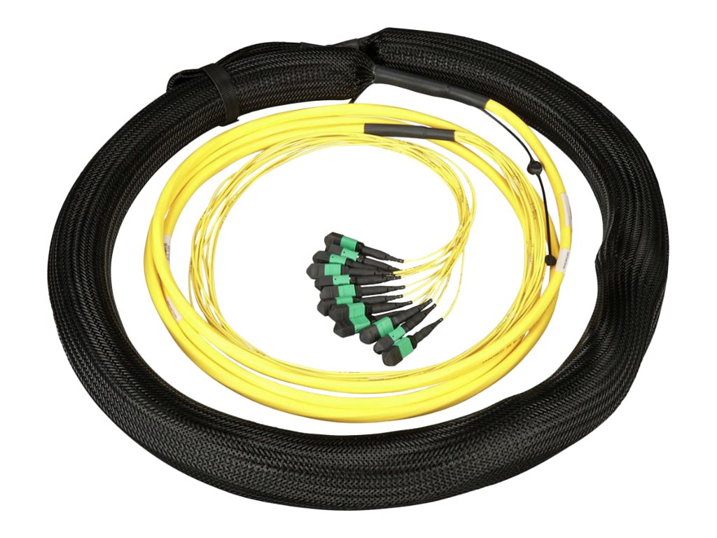 Panduit QuickNet - Pigtail - MPO-12/APC single-mode (F) 1 m breakout, pulling eye - 30 m - 0.5 in - fiber optic - 9 / 125 micron F8BNM5ENNAAM030