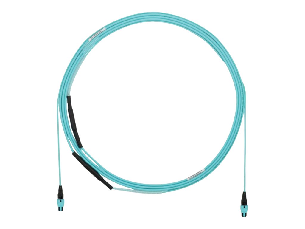 Panduit QuickNet - Trunk cable - PanMPO multi-mode (F) to PanMPO multi-mode (F) - 9.14 m - 0.2 in - fiber optic - 50 / 125 micron FYZTP77Y006F030