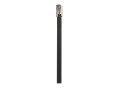 Panduit StrongHold Standard - Cable tie - indoor, outdoor - 1.2 ft - black (pack of 100) IMLTFC102S-C6L