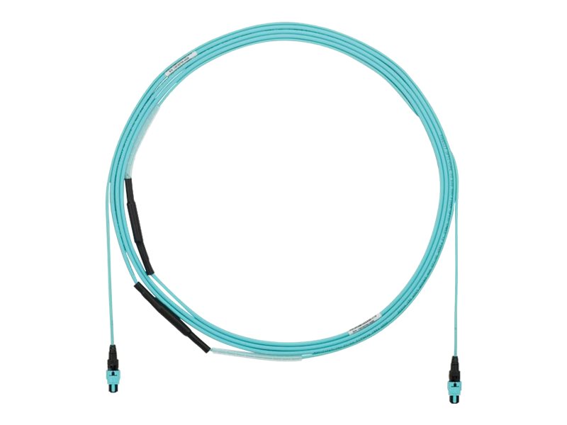 Panduit - Trunk cable - PanMPO multi-mode (F) 1 m breakout, pulling eye to PanMPO multi-mode (F) 1 m breakout - 12.2 m - fiber FYZTP77Y001F040