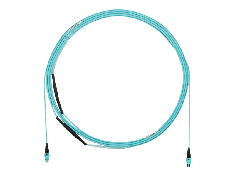 Panduit - Trunk cable - PanMPO multi-mode (F) to PanMPO multi-mode (F) - 10.7 m - fiber optic - 50 / 125 micron - OM4 -