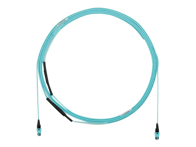 Panduit - Trunk cable - PanMPO multi-mode (F) to PanMPO multi-mode (F) - 13.7 m - 0.2 in - fiber optic - 50 / 125 micron