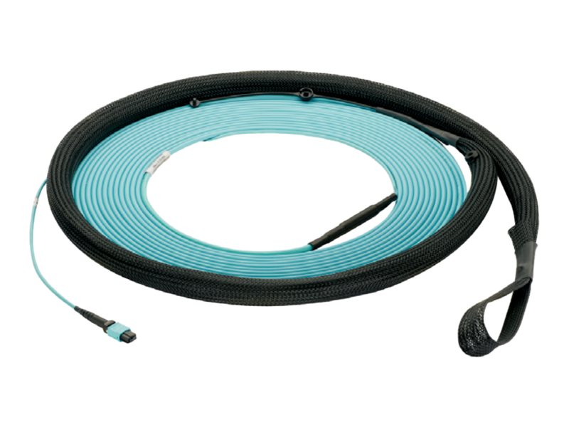 Panduit - Trunk cable - PanMPO single-mode (F) to PanMPO single-mode (F) - 30 m - 0.2 in - fiber optic - 9 / 125 micron - OS2 FY9TP77Y006M030