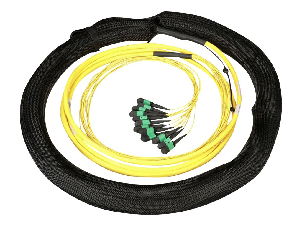 Panduit - Trunk cable - PanMPO single-mode (F) to PanMPO single-mode (F) - 5 m - 0.4 in - fiber optic - 9 / 125 micron - OS2 FY9AP77A005M005