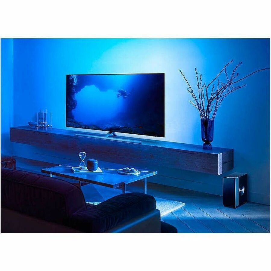 Philips Fidelio TAFW1 Subwoofer System - 210 W RMS - Black