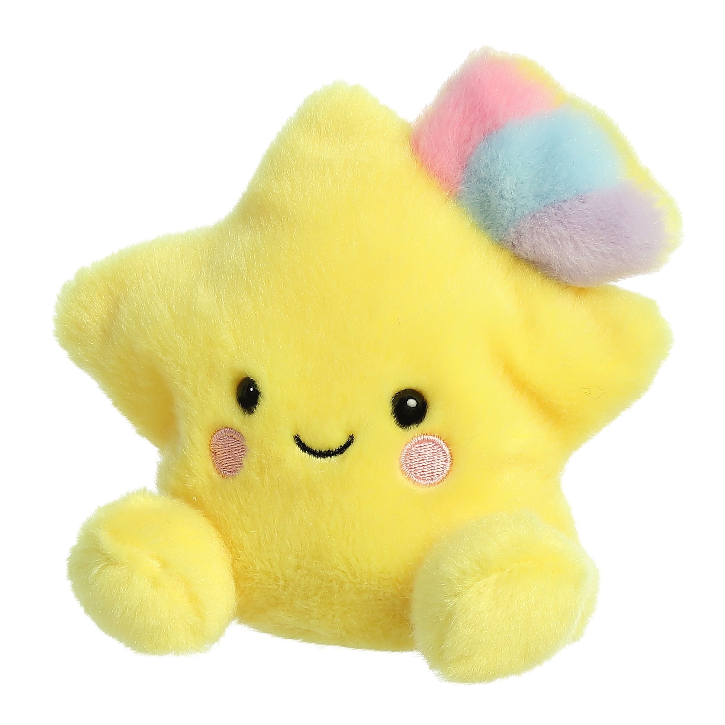 Pisces Star Palm Pal