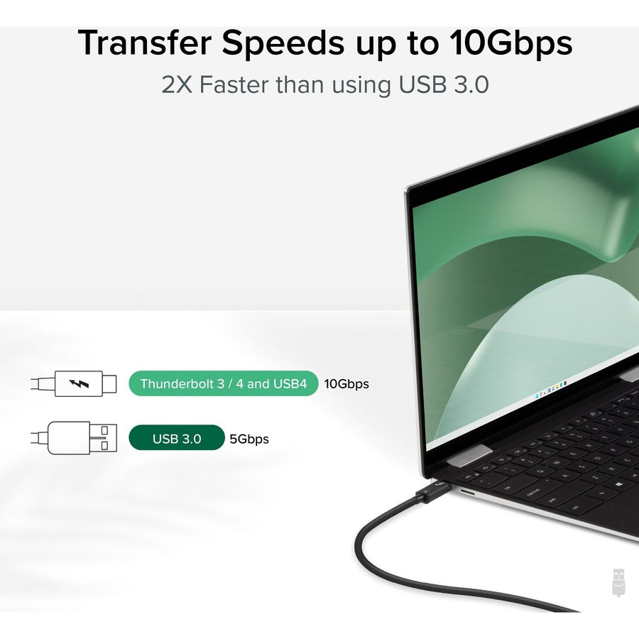 Plugable Windows Transfer Cable 6.6ft (2m), Thunderbolt 10Gbps, Bundled with Bravura Software for Windows PC to PC Migration - Unlimited Uses. Works between Thunderbolt 3 / 4, USB4 PCs TBT-TRAN