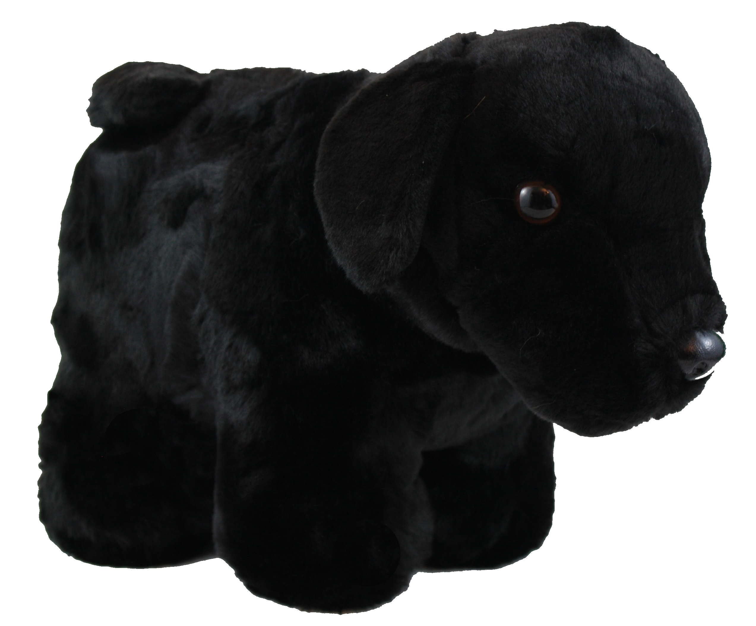 Plush Coin Bank - Black Lab