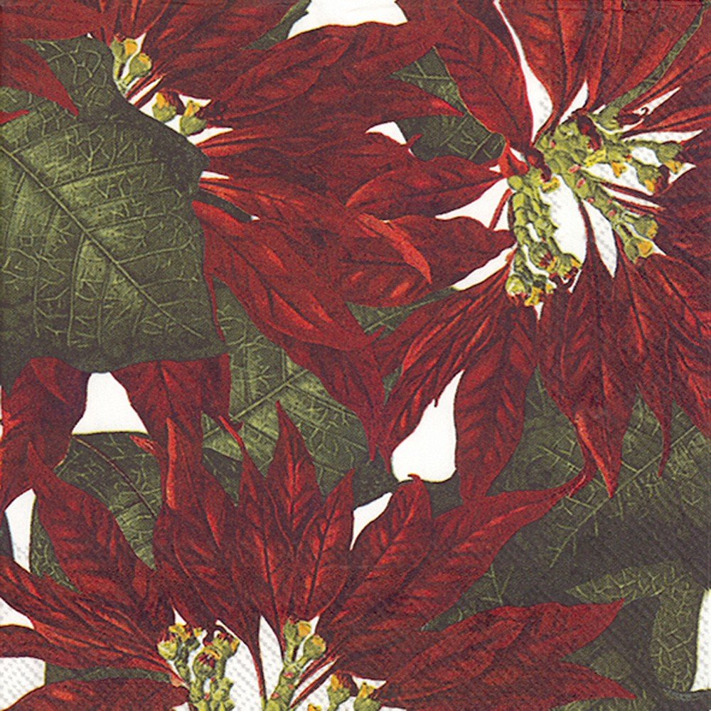 Poinsettia Cocktail Napkin