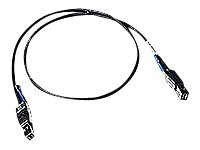 Promise - SAS external cable - 36 pin 4x Shielded Mini MultiLane (M) to 26 pin 4x Shielded Mini MultiLane SAS (SFF-8088)