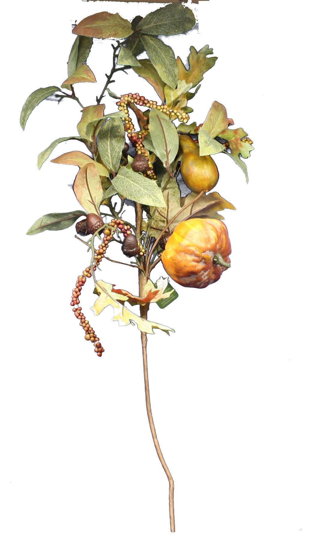 Pumpkin Leaf Spray