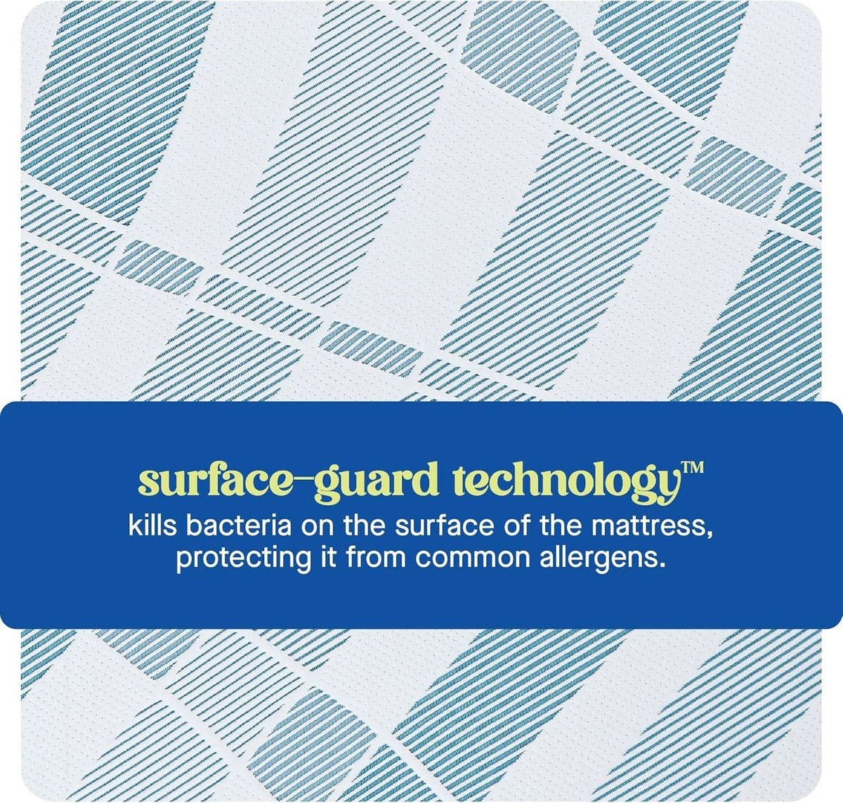 Queen Dreamlife Gel Memory Foam Mattress Surface Guard