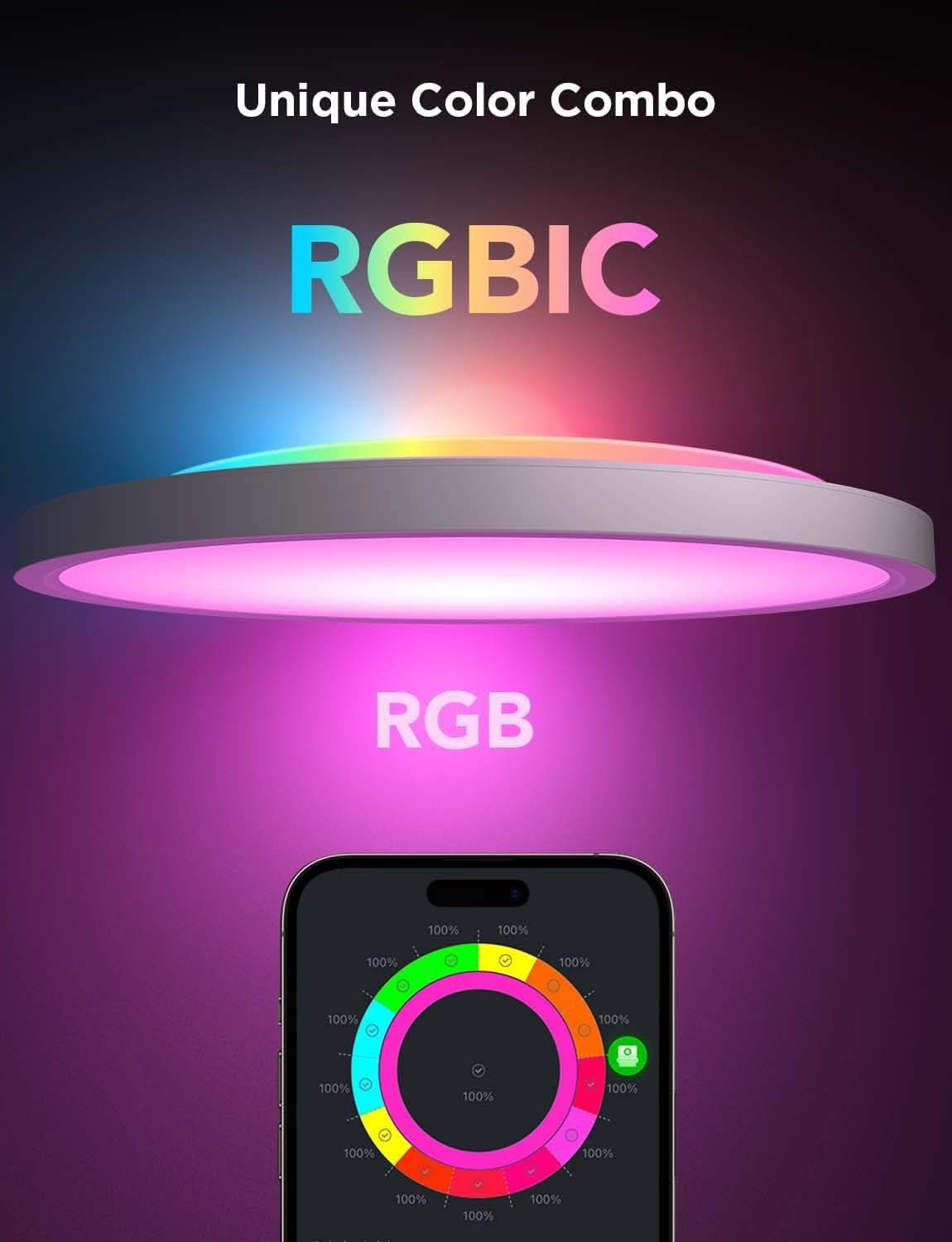RGBIC Smart Ceiling Light 12 Inch Alexa Compatible