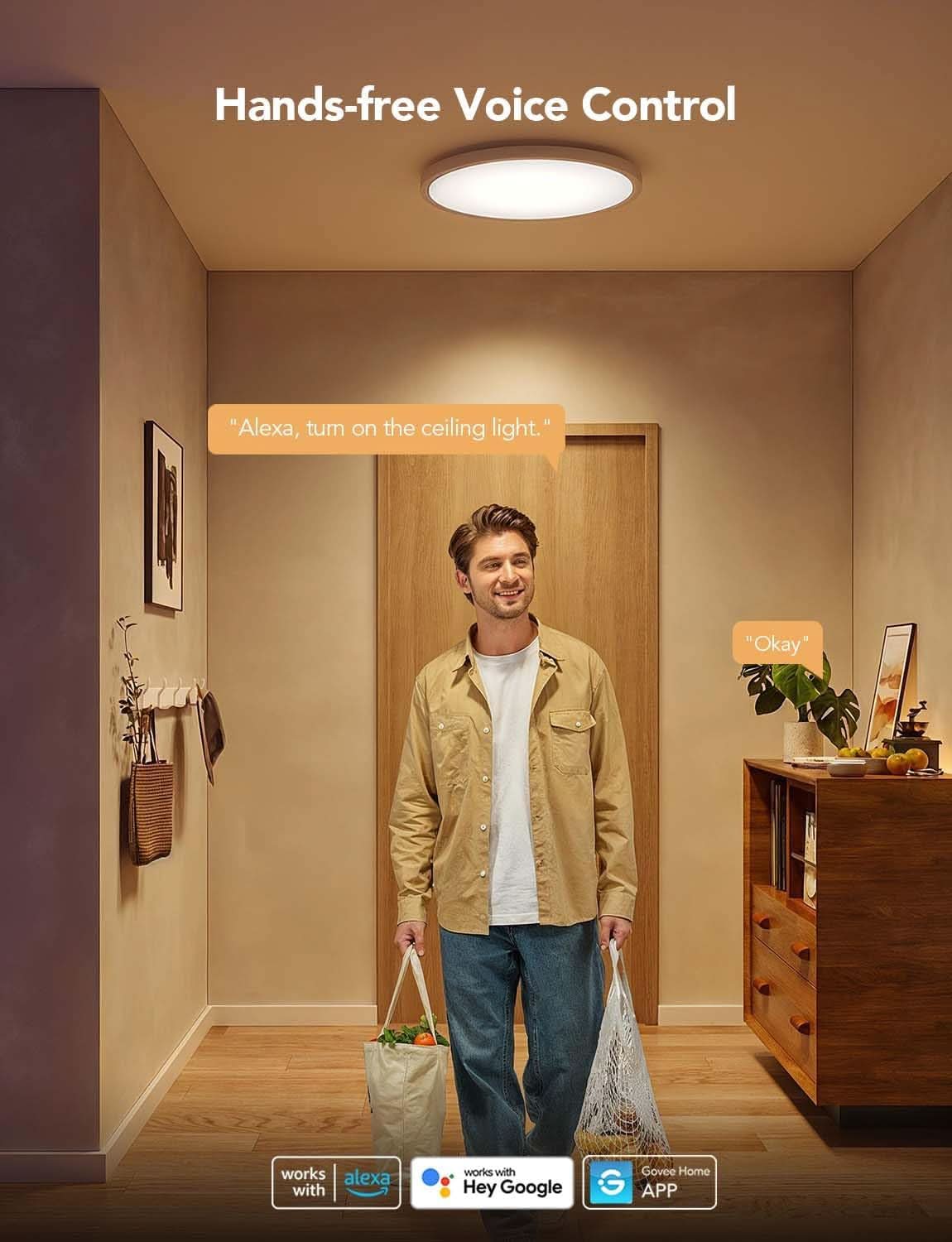 RGBIC Smart Ceiling Light 12 Inch Alexa Compatible