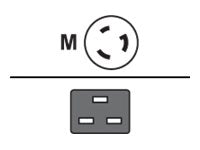 Raritan - Power cable - NEMA L5-20 (P) to IEC 60320 C19 - 10 ft
