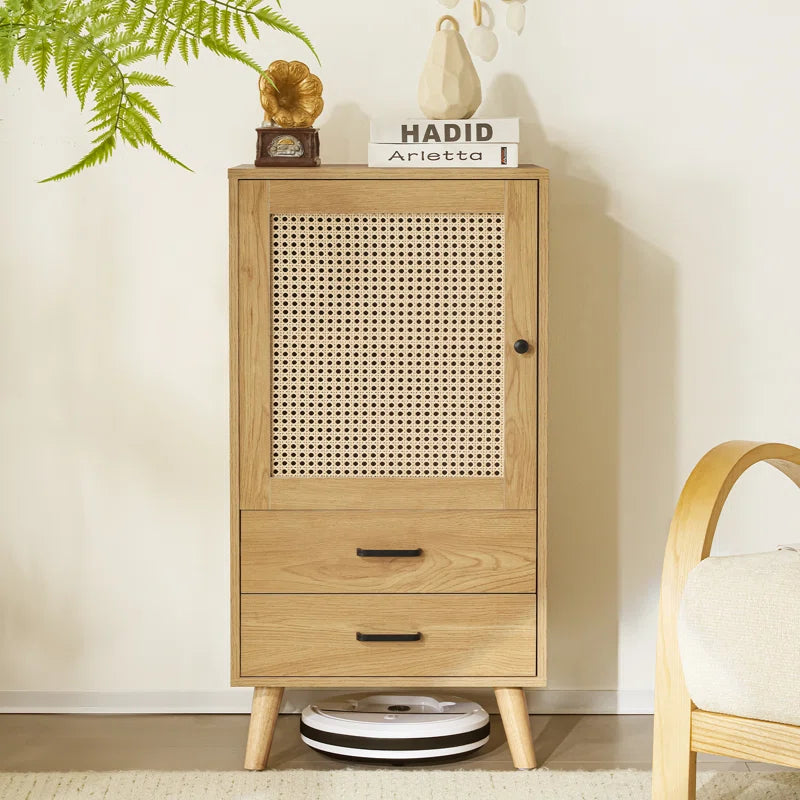 Rattan 1-Door Cabinet With Dual Storage Drawers Coastal