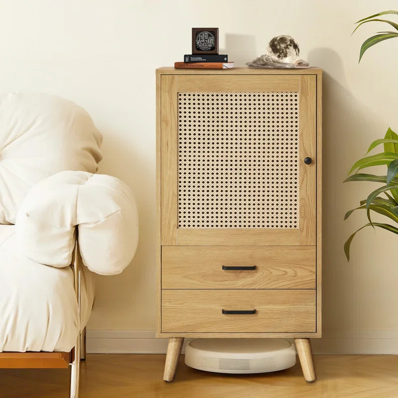 Rattan 1-Door Cabinet With Dual Storage Drawers Coastal