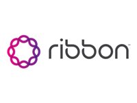 Ribbon REVISED GATEWAY SBC 1000 CHASSIS