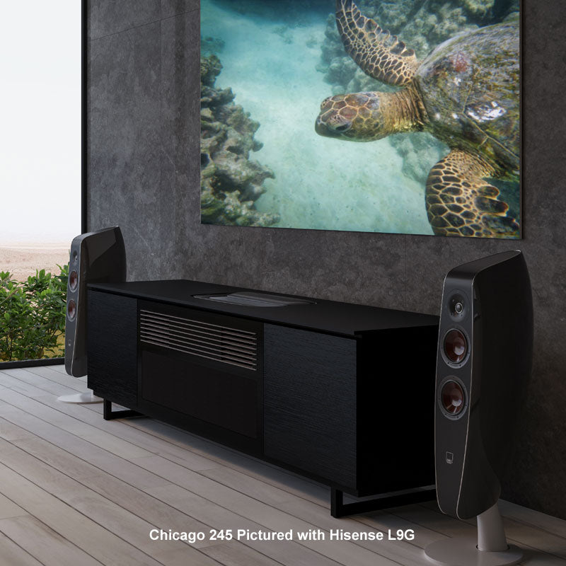 Salamander 245 Chicago Black Oak Cabinet for Hisense PX1-Pro Projector Integration