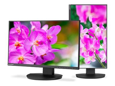 SHARP 24" FHD Business-Class Monitor DD-EA241F for Professionals