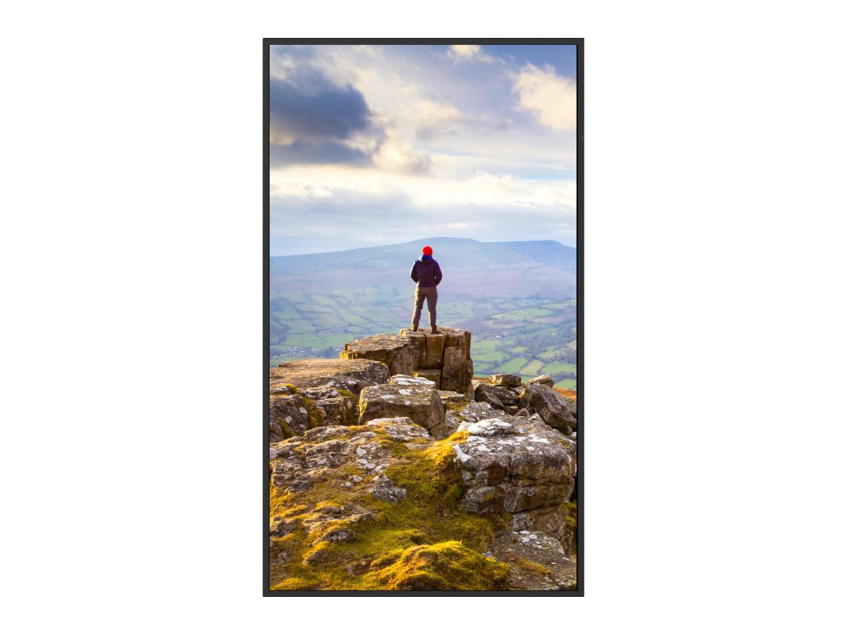 SHARP 43" Commercial 4K LCD Display PN-E439 for Business Use