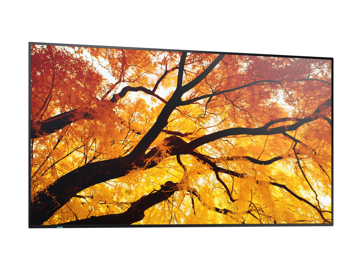 SHARP PN-M432 43" UHD TFT LCD Display 3840x2160 for Professionals