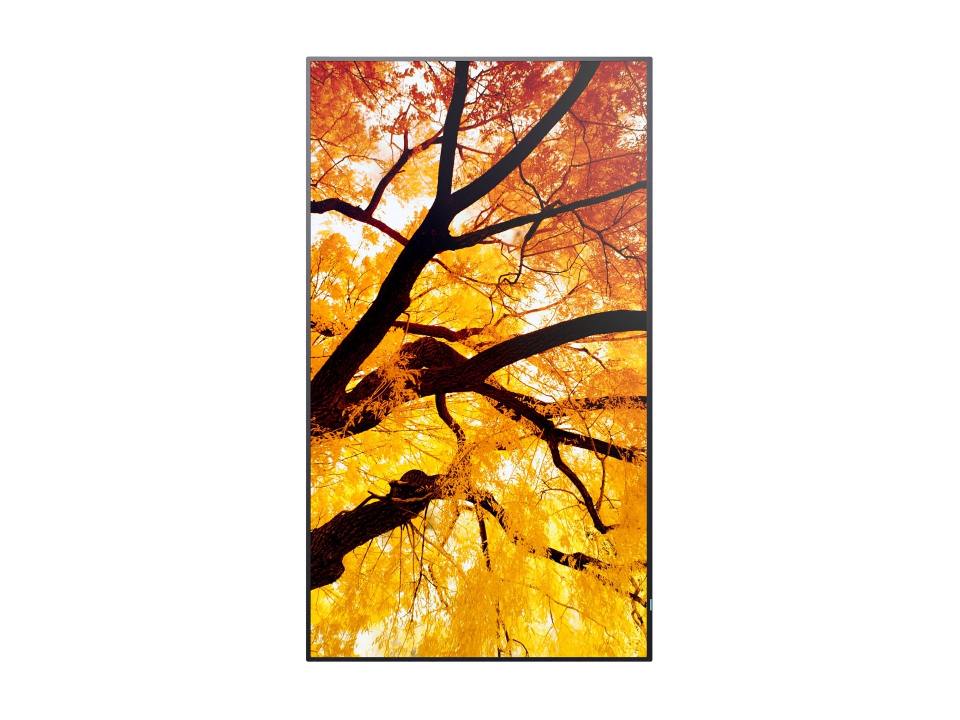 SHARP PN-M432 43" UHD TFT LCD Display 3840x2160 for Professionals